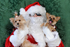 EVENTS - Birken & Bailey Holiday : 
