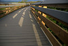 Hawaii - South Shore - Kealia Pond (Maui, HI) : Spring Sale on prints 50% off for the month of May! 

Kealia Pond is a large pond located in central/south Maui near Kihei. It is a bird sanctuary with a boardwalk that passes through the middle.