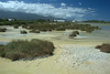 kanaha pond