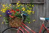 Red Bike Basket