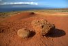 Hawaii - Island of Lanai : I just returned from the island of Lanai where I experienced true Aloha spirit and the adventure of a lifetime! What an amazing island!