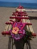 EVENTS - 2005 International Festival of Canoes (Lahaina, HI) : 