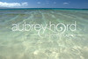 STOCK IMAGES - Hawaii - Island of Maui : Shots of the very lush tropical island of Maui where there are red white and black sand beaches, waterfalls, clear blue water, trails built for king's of the past and secluded bays.